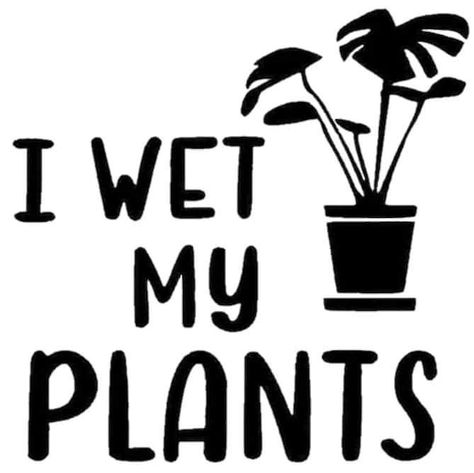 Plant Jokes, Garden Quotes Signs, Cricut Flowers, Garden Puns, File Ideas, Cricut Templates, Funny Tea Towels, Cricket Projects, Plant Pot Design