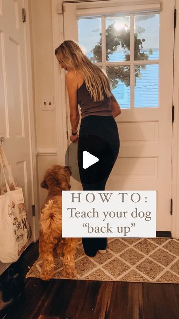 The Good Dog Yorktown on Instagram: "“Back up” is a great trick and it also helps with your dog’s body awareness and coordination! This was real time of my dog learning this for the first time. I love this command for opening doors & when a dog is crowding me or anyone/anything else. This can be a hard one for them to grasp at first so take it really slowly when teaching them! Break it down into really small steps and practice just a few minutes at a time to prevent frustration. We always want learning to be fun for your pup! #dogtraining #balanceddogtraining #positivereinforcement #backup #dogtrick #tricktraining" Cool Dog Tricks, Dog Tricks Easy, Teach Dog Tricks, Dog Commands, Dog Tricks, House Training Dogs, Dog Training Advice, Pet Blog, Good Dog