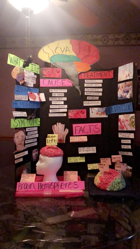 Brain Model, Trifold Poster, etc. Brain Model Project, Trifold Poster Board Ideas, Science Fair Poster, Brain Project, Trifold Board, Brain Poster, Medical Projects, Brain Models, Mental Health Week