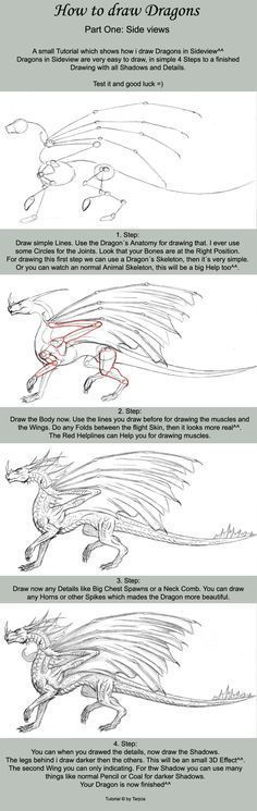 How To Draw Dragons, Small Easy Drawings, Drawing Dragons, Ako Kresliť, Dragon Anatomy, Drawing Dragon, Dragon Base, Graphics Tablets, Dragon Sketch