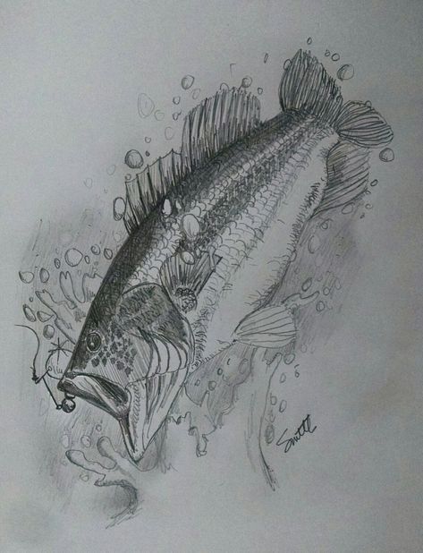 Largemouth Bass Drawings, Lake Fish Drawing, Bass Sketch, Fishing Drawings, Bass Drawing, Fish Sketches, Large Mouth Bass, Fish Sketch, Bass Fishing Shirts