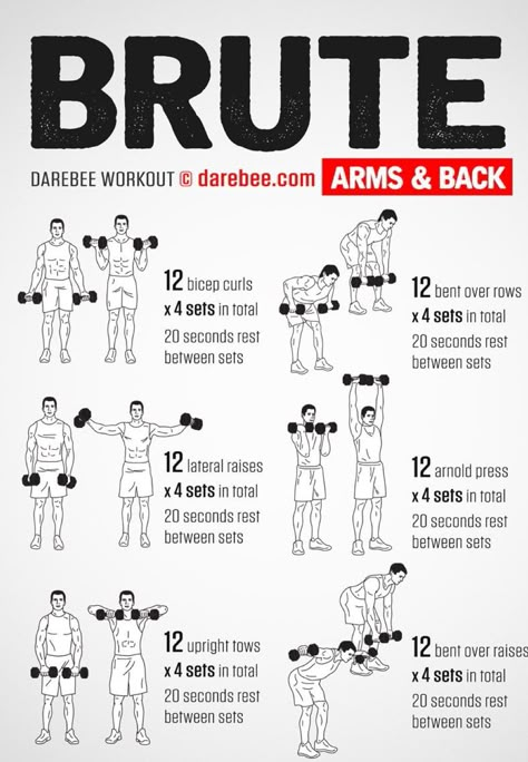 20, 20, 10, 12.5, 20, 5? Full Arm Workout, Dumbbell Workout At Home, Full Body Dumbbell Workout, Gym Antrenmanları, Dumbell Workout, Muscle Abdominal, Gym Workout Chart, Workout Posters, Trening Fitness