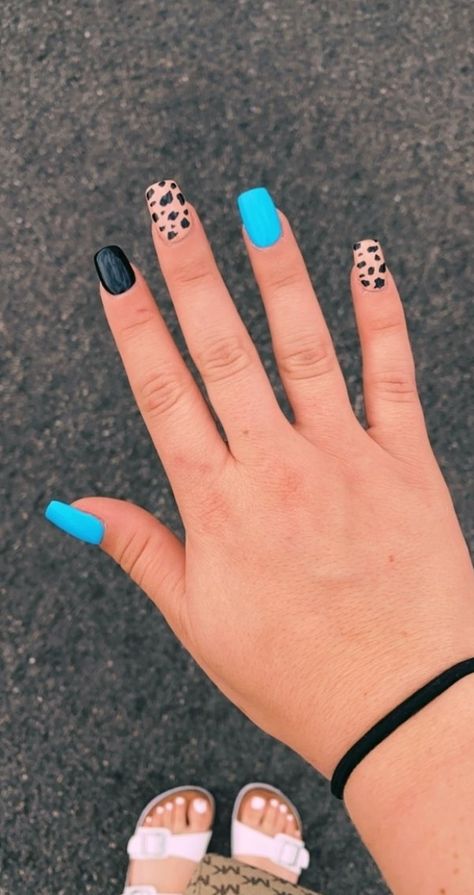 Black And Teal Nails Acrylic, Cow Dip Nails, Punchy Western Nails Short, Cute Cow Print Nails Acrylic, Teal And Cow Print Nails, Cowhide Nails, Cute Nail Ideas For Acrylics, Teal Western Nails, Black And Teal Nail Designs