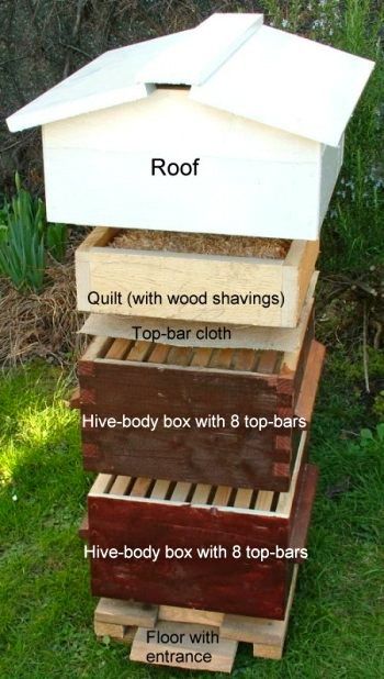 warre5 Langstroth Hive, Top Bar Hive, Bee Hive Plans, Backyard Bee, Body Box, Raising Bees, Backyard Beekeeping, Bee Boxes, Permaculture Design