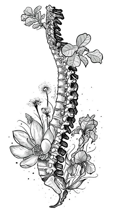 Spine Drawing, Order Tattoo, Spine Tattoo Ideas, Human Spine, Human Body Drawing, Bone Tattoos, Skeleton Illustration, Spine Tattoos For Women, Pretty Tattoos For Women