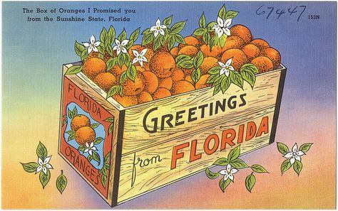 The box of oranges I promised you from the Sunshine State, Florida Retro Florida, Florida Poster, Florida Oranges, Florida Art, Orange Square, Retro Ideas, Retro Gifts, All I Ever Wanted, Classic Image