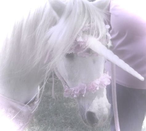 my edit ₊˚⊹♡ @xnevenaxx #coquette #fairy #fairycore #lanadelrey Angel With Pink Hair, The Last Unicorn Aesthetic, I Believe In Unicorns Aesthetic, Unicorns Aesthetic, Pink Fairy Aesthetic, Fairy Core Pink, Unicorn Core, Aesthetic Unicorn, Im A Unicorn