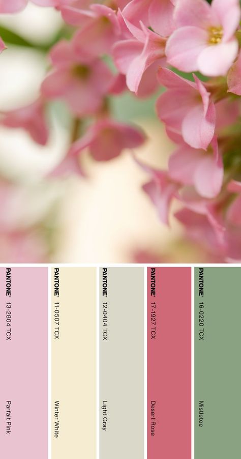 Color Palette Pantone, Pantone Color Palette, Flower Palette, Zyla Colors, Peony Colors, Color Pantone, Pantone Colour Palettes, Paint Sample, Colour Inspiration