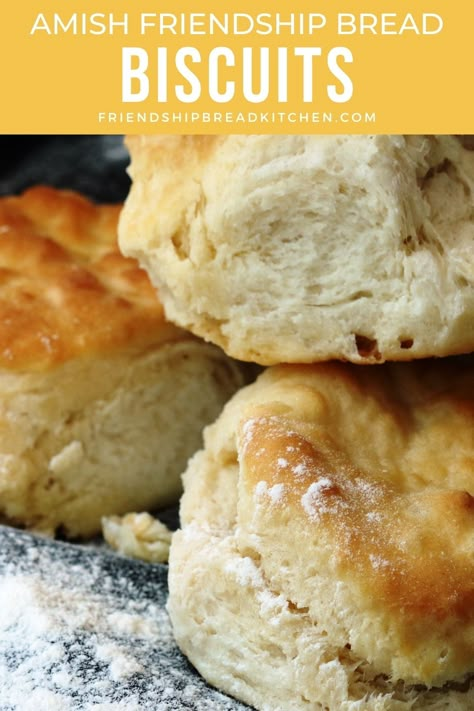 Amish Biscuits Recipe, Friendship Starter Recipes, Amish Friendship Bread Discard Recipes, Amish Friendship Starter Recipes, Recipes With Amish Bread Starter, Amish Friendship Bread Recipes, What To Make With Amish Friendship Bread Starter, Amish Friendship Bread Variations, Amish Friendship Bread Starter Recipes How To Make