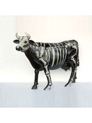 Pig Skeleton, Cow With Horns, Milka Cow, Animal Skeleton Reference, Cow Skeleton, Cute Cow Sculpture, Cow Artwork, Cow Tattoo, Cow Parade