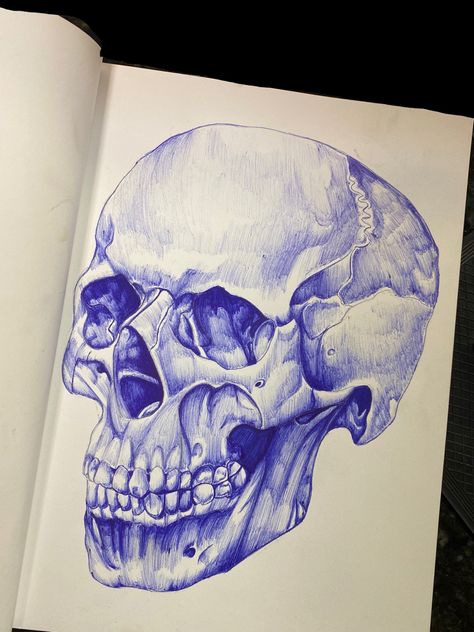 Skull Biro Sketch, Pen Scetches Notebook, Biro Pen Art, Bic Pen Art, Biro Pen Drawing, Skull Pen Drawing, Skull Anatomy Drawing, Bic Pen Drawing, Sketchbook Calligraphy