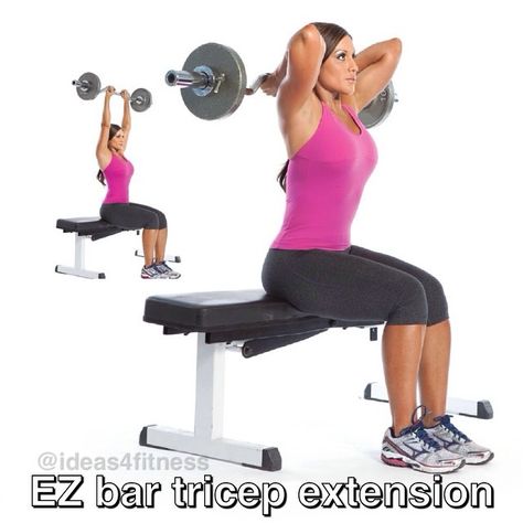 EZ Bar Tricep Extension. Tricep Bar Workout, Tricep With Resistance Band, Tricep Bench Dips, Dumbbell Overhead Tricep Extension, Muscular Strength Exercises, Overhead Press Barbell, Bar Exercises, Triceps Extension, Dumbbell Shoulder