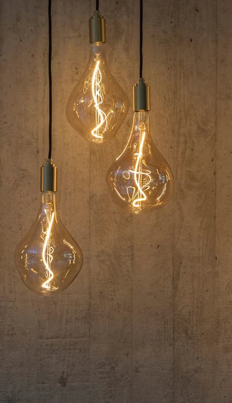 Light Bulbs | Sustainable Dimmable LED Light Bulbs | Tala Light Bulb Ceiling Lights, Light Bulb Lamp Hanging, Ceiling Lights Bulb, Hanging Edison Bulbs, Cool Light Bulbs, Unique Light Bulbs, Light Bulb Lights, Light Bulbs Aesthetic, Hanging Bulb Lights