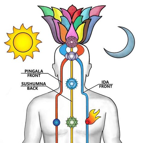 Neven Paar on Instagram: ""Once the activation is complete, the Kundalini energy becomes a permanent part of the awakened individual's existence, signalling a new way of functioning and experiencing the world. The Kundalini, over time, becomes a self-sustaining energy circuit fueled by food and water that grows and gets stronger, expanding the individual consciousness daily. And as the normal waking consciousness slowly aligns to the Spiritual Body, which is a process that may take many years, the awakened individual will be living in the same reality as everyone else but experiencing it entirely differently. This experience of life is a true gift from the Divine. After the awakening, every morsel of food transforms into Pranic (Life Force) energy which powers the Kundalini circuit and exp Yoga Breathing Techniques, Kundalini Reiki, Kundalini Meditation, Kundalini Energy, Alien Artwork, Yoga Breathing, Kundalini Awakening, The Awakening, Life Force Energy