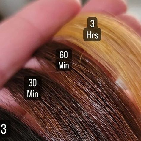 Hairbrained on Instagram: "It’s about time 💯🤘 @colorswithchemistry • When we lifted this coarse level 3 hair, we applied lightener with 10 vol and just allowed it to sit....pretty amazing to watch that 10 vol do what it does....but it took 3 hrs to get that coarse hair that light with the 10 vol. A lot of what we do with lightener involves time and timing ⏰️. The higher volumes will lift quicker, but also create more damage...so working out how to get the lift you need, in the timing you need Hair Lift Levels, Level 3 Hair, How To Use Toner, Hair Levels, Hair Diy, Coarse Hair, Level 3, About Time, Diy Hairstyles