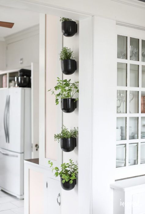 How to create a Vertical Modern Herb Garden for your Kitchen | Inspired by Charm Modern Herb Garden, Vertical Wall Garden, Hanging Herb Gardens, Wall Pots, Vertical Herb Gardens, Kitchen Herb Garden, Herb Garden Wall, Hanging Herb Garden, Herb Wall