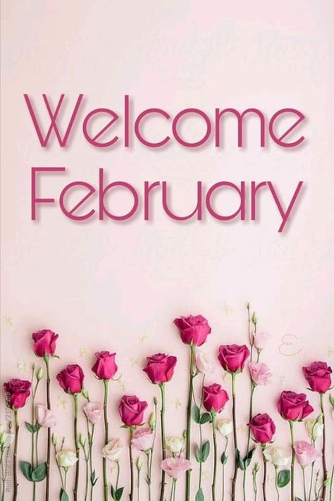 1950 King Princess, King Princess Lyrics, February Images, Welcome February, King Princess, Hello February, Good Evening Greetings, Happy February, Evening Greetings