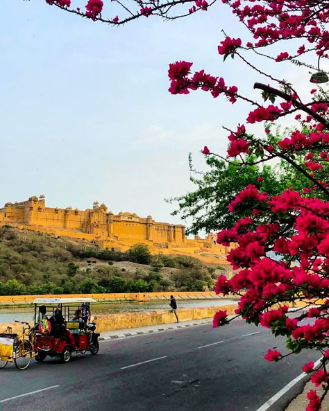 Jodhpur Travel, Bungalow Architecture, Beautiful Bungalow, Snap Stories, Jaipur Travel, Travel Instagram Ideas, Amer Fort, India Architecture, Desi Love