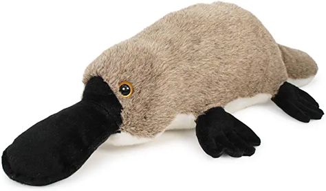 Amazon.com: giant stuffed animal Platypus Stuffed Animal, Duck Billed Platypus, Giant Stuffed Animals, Toddler Videos, Beaver Tails, Duck Bill, Baby Otters, Indoor Toys, Teddy Bear Stuffed Animal