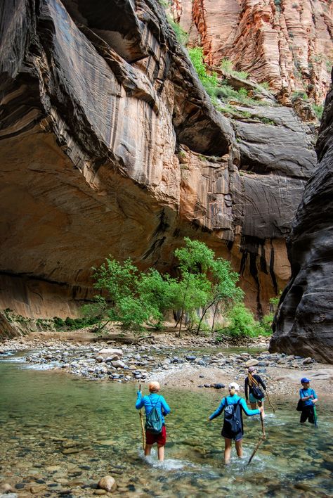 The Narrows Zion, Hiking The Narrows, The Narrows, Hiking With Kids, National Parks Trip, Best Hikes, Zion National Park, Day Hike, Travel With Kids