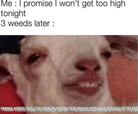 High Jokes, Puff Puff Pass, Puff Puff, Puff And Pass, Memes Random, Memes Xd, Funny Memes, Bts, Humor