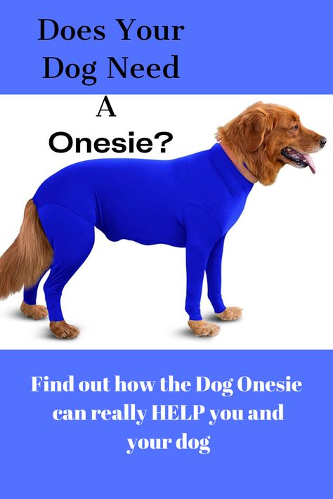 There are HUGE benefits for you and your dog. Find out all the advantages and disadvantages of the dog onesie. #DogOnesie #DogAnxiety #DogShedding #KeepYourDogClean #DogHealthBenefits #DogTips #StopDogMess #MuddyDogs #DogOutfits Modern Dog Toys, Big Dog Toys, Doggie Clothes, Dog Onesie, Funny Dog Toys, Homemade Dog Toys, Dog Onesies, Dog Organization, Dog Grooming Shop