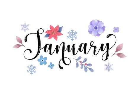 Hand drawn january month lettering typog... | Premium Vector #Freepik #vector #greeting-background #greeting #calendar-banner #floral-illustration January Hand Lettering, January Font Hand Lettering, Happy Birthday Fonts Hand Drawn Simple, January Aesthetic Month, January Font, Month Lettering, January Lettering, January Bujo, January Aesthetic