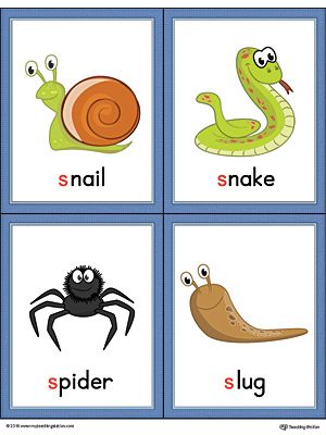 Letter S Words and Pictures Printable Cards: Snail, Snake, Spider, Slug (Color) Worksheet.The Letter S Words and Pictures Printable Cards can be used for flashcards, various games, and help your student associate unfamiliar words with a picture. Colorful picture cards for the words: snail, snake, spider, and slug. Alphabet Pictures Printables, S Letter Words With Pictures, Letter I Words, Flash Card Alphabet, Alphabets Flash Cards, Vocabulary Cards With Pictures, Zoophonics Printables Alphabet Cards, Initial Sound Picture Cards Free, Alphabet Word Wall Cards