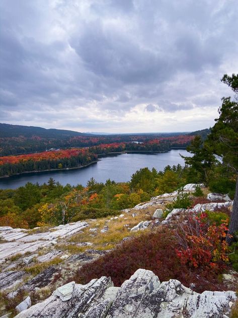 Backcountry camping trip to Killarney Provincial Park wouldn't be complete without a hike to Silver Peak, the highest point of the La Cloche mountains.
#camping #hiking #ontario #killarney #provincialparks Ontario Camping, Mountains Camping, Backcountry Camping, La Cloche, Nitty Gritty, Killarney, Camping Trip, Girl Falling, Camping Trips