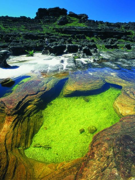 Venezuela Beaches, Monte Roraima, Mount Roraima, Travel Humor, Places Around The World, Beach Sunset, Solo Travel, Wonders Of The World, South America