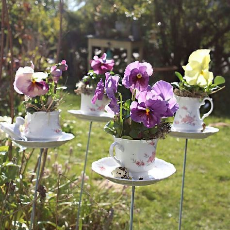 Vegetable Garden Soil, Teacup Gardens, Creative Planter, Teacup Crafts, Hgtv Garden, Tea Diy, Small Backyard Gardens, Garden Pictures, Pergola Patio