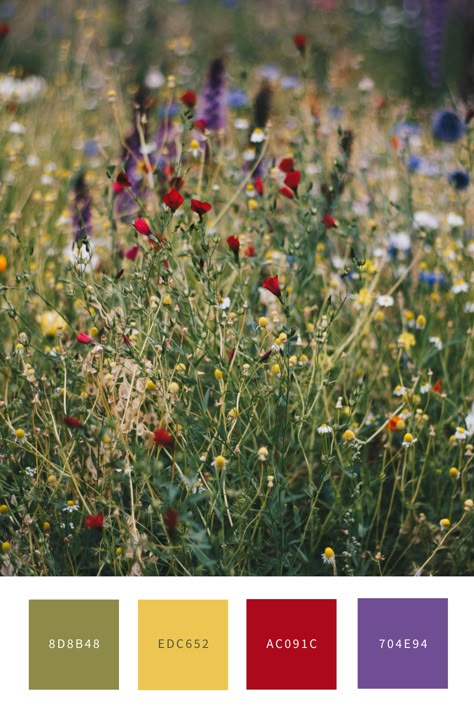 Garden Party Colour Palette, Midsommar Color Palette, Wildflowers Color Palette, Summer Solstice Color Palette, Wildflower Color Scheme, Wildflower Colour Palette, Whimsical Colour Palette, Meadow Color Palette, Wild Flower Color Palette