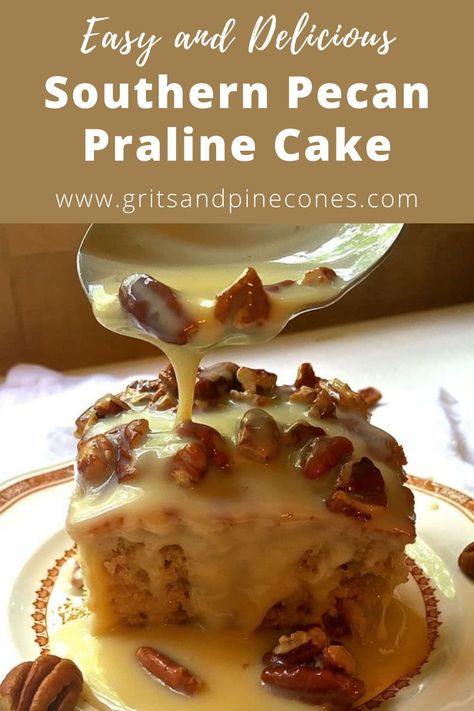 If you like pecans and pralines, if you like cake, and if you like EASY, you will love this delicious and decadent Southern Pecan Praline Cake recipe. Southern Pecan Praline Cake, Praline Frosting, Pecan Praline Cake, Condensed Milk Cake, Bundt Recipes, Praline Cake, Coconut Pecan Frosting, Pecan Praline, Butter Pecan Cake