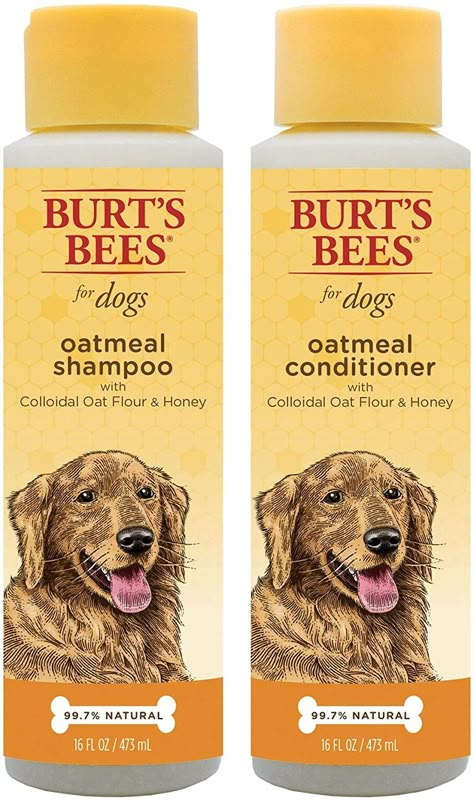 Organic Dog Shampoo, Diy Conditioner, Best Dog Shampoo, Puppy List, Puppy Shampoo, Oatmeal Dog Shampoo, Bee Dog, Dog Conditioner, Cat Shampoo