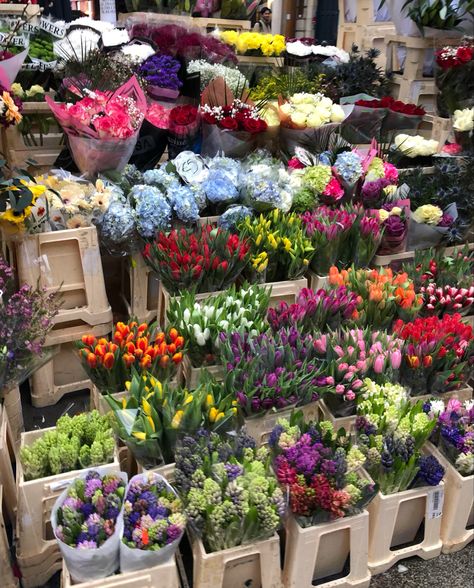 Bouquets of tulips and hyacinths on Dublin’s Grafton street Grafton Street Dublin, Ireland Aesthetic, Grafton Street, Irish Travellers, Spring Bouquet, Dublin Ireland, Romantic Style, Spring Time, Dublin