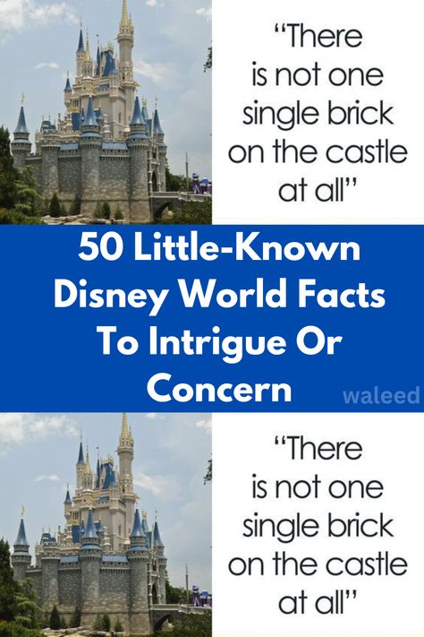 50 Little-Known Disney World Facts To Intrigue Or Concern Disney World Facts, World Facts, Disney Fun Facts, Disney Facts, Disney World Resorts, Disney Fun, Interesting Facts, Tourist Destinations, Facts About