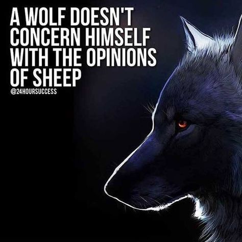 Image: Instagram Wolf Quotes | Motivational Wolf Quote Images & Wolves Picture Quotes www.FearlessMotivation.com Wolf Pack Quotes, Lone Wolf Quotes, Gentleman Quotes, Jack Ma, Wolf Quotes, Wolf Spirit Animal, Wolf Love, She Wolf, Warrior Quotes