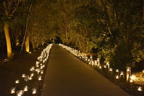 Night Ceremony, Garden Escape, Engagement Plan, Event Entrance, Landscape Lighting Design, Fragrant Garden, Wedding Proposals, Wedding Decor Inspiration, Venue Decor