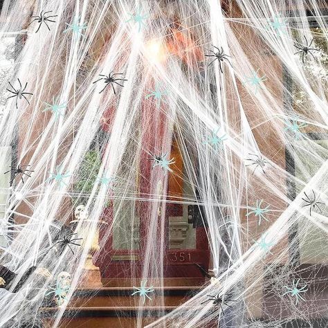 Here's Why You Should Never Use Fake Spiderweb to Decorate for Halloween Halloween Spider Web Decorations, Spiders Halloween, Halloween Web, Fake Spider, Spider Web Decoration, Halloween Spider Decorations, Party Fotos, Yard Haunt, Halloween Supplies