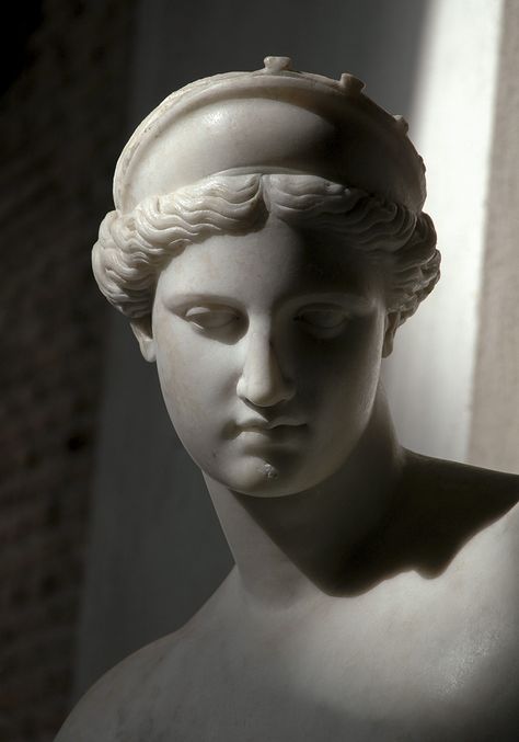 Aphrodite of Capua (close-up). Naples, National Archaeological Museum (Napoli, Museo archeologico nazionale di Napoli) Ancient Greek Sculpture, Statue Tattoo, Sculpture Head, Classic Sculpture, Greek Statues, Roman Sculpture, 얼굴 그리기, Greek Sculpture, Ancient Sculpture