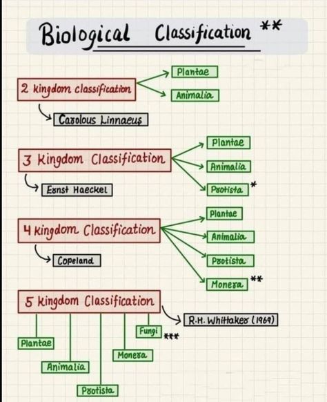 Basic Biology Knowledge, Biological Classification Notes, Cell Biology Notes, Biological Classification, Formula Sheet, Biochemistry Notes, Biology Diagrams, Learn Biology, Chemistry Basics