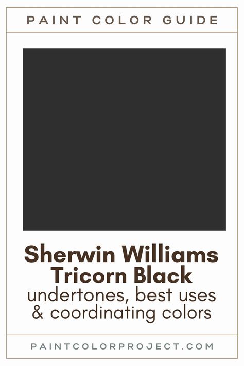 Paint Trim Black, Whites That Go With Tricorn Black, Sherwin Williams Tricorn Black Coordinating Colors, Sherman Williams Black Paint, Best Black Trim Paint Color, Black Peppercorn Paint Color, Antique Black Paint Color, Black Interior Ideas, Caviar Sherwin Williams Front Door