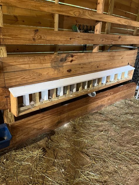 Mineral Buffet For Goats, Goat Mineral Buffet, Goat House, Farm Life, Goats, Animals