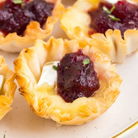 How To Make Phyllo Cups, Filo Cup Appetizers, Pepper Jelly Phyllo Cups, Phyllo Cup Desserts, Brie Pastry, Cup Appetizers, Brie And Cranberry, Honey Roasted Pecans, Cranberry Bites