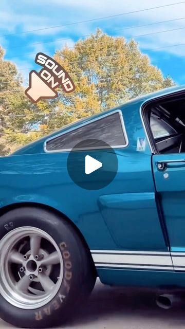 Kelsey on Instagram: "Does anyone know who owns this fastback? I love the wheels, exhaust, stance, sound, and color…perfect! I’d like to follow the actual owner so let me know. Thanks #mustangfastback #fastbackmustang #65mustang #1965mustang #66mustang #1966mustang #65mustangfastback #1965mustangfastback #66mustangfastback #1966mustangfastback #65fordmustang #1965fordmustang #66fordmustang #1966fordmustang  #gt350 #gt350h #gt350only #gt350mustang #gt350shelby #shelbygt350 #shelby" 65 Mustang Fastback, 2005 Mustang Gt, 1966 Mustang Fastback, 1966 Mustang Gt, Mustang 65, 66 Ford Mustang, 2005 Mustang, 66 Mustang, 65 Mustang