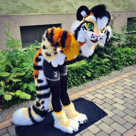 Partial Fursuit Outfits, Fox Fursuit, Teen Costumes, Cat Fursuit, Fursuit Tutorial, Anime Custom, Fursuit Head, Tiger Cat, Costumes For Teens