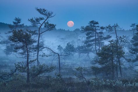 the blue border by kilian schonberger 3 The Blue Hour by Kilian Schoenberger (12 Photos) By Kilian, Undersea World, Dreamy Landscapes, Aerial Arts, The Enchantments, Blue Border, Blue Hour, Top Art, Aerial Photo