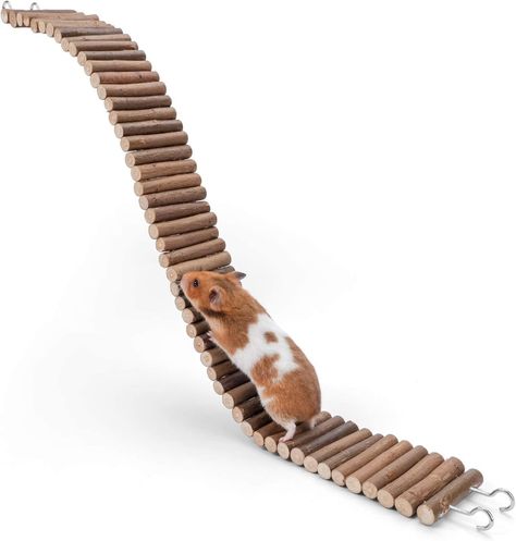 AmazonSmile : Niteangel Hamster Suspension Bridge Toy - Long Climbing Wooden Ladder for Hamsters Mice Mouse Gerbils Sugar Glider Rat and Other Small Animals (25.6L x 2.8W) : Pet Supplies Hamster Bedding, Mice Mouse, Hamster Toys, Hamster House, Syrian Hamster, Wooden Arch, Hamster Cage, Wooden Ladder, Gerbil