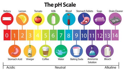 Ph Scale, Bleach Water, Canning 101, Hard Water Stain Remover, Water Boiling, Hard Water Stains, Alkaline Water, Stomach Acid, Bad Food