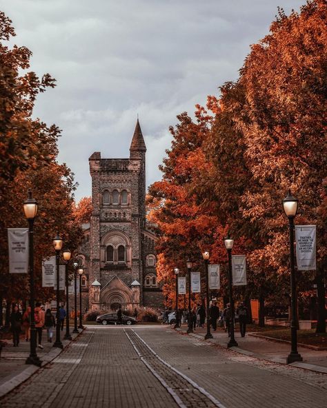 Toronto Fall, Scenery Photography, Toronto Ontario Canada, Nature Places, University Of Toronto, My Year, Toronto Ontario, 2024 Vision Board, Ontario Canada